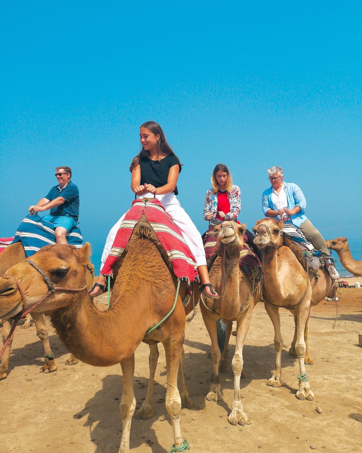 tangier camel tour